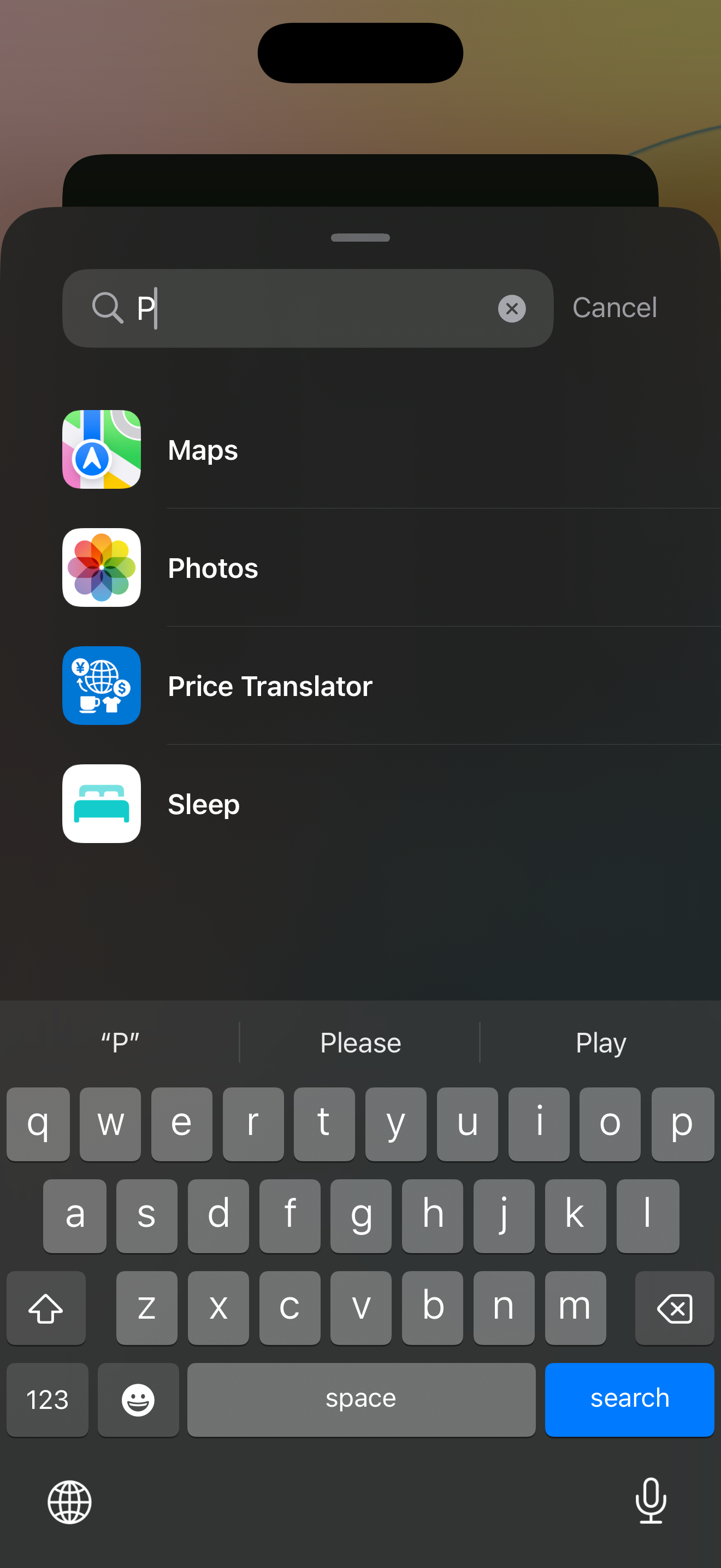 Price Translator conversion screen